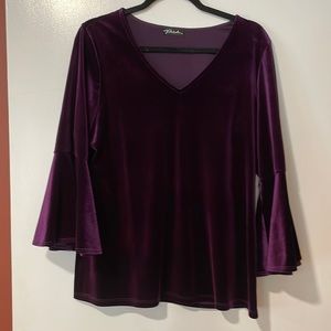 Purple v neck velour tunic. Bell sleeves.